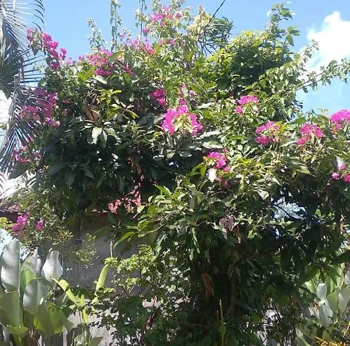 Casa vacanze Paya - *