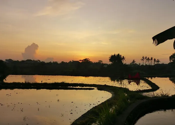 Paya - * Ubud